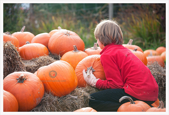 20131027-WX7T3998
