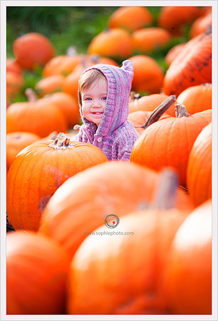 20131027-WX7T4052